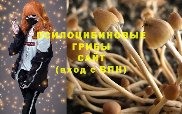 сатива Абаза