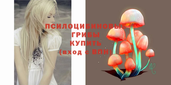 сатива Абаза