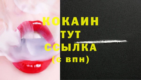 сатива Абаза